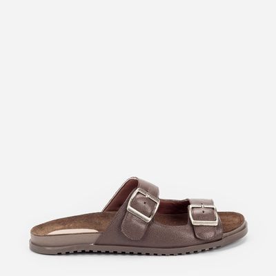 Papete birken Marrom
